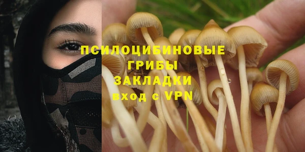 прущие грибы Богородицк
